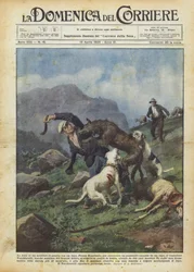 The Struggle of a War Veteran with a Wolf